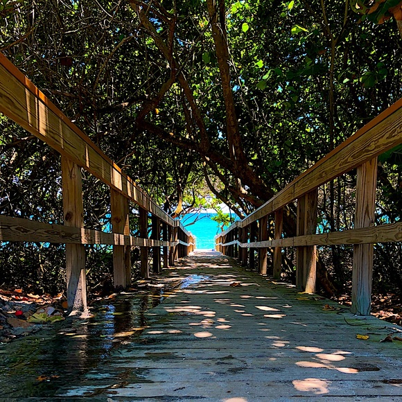 Meet your Posher, Alex - Picture 1 of 1